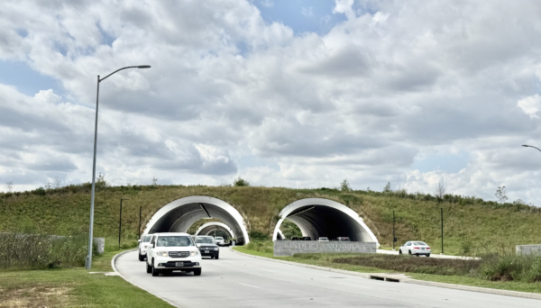 Kinder Land Bridge at Memorial Park